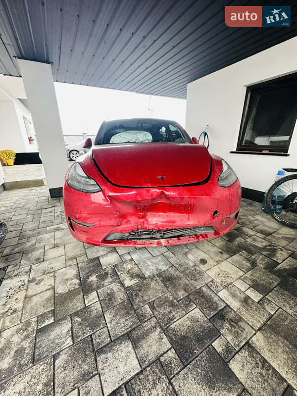 Позашляховик / Кросовер Tesla Model Y 2021 в Луцьку