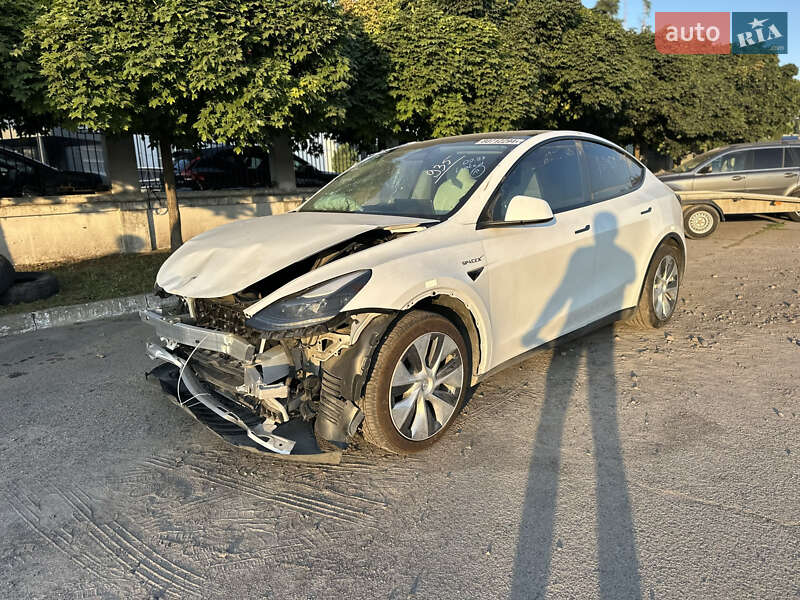 Позашляховик / Кросовер Tesla Model Y 2023 в Рівному