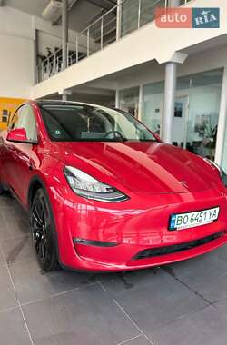 Внедорожник / Кроссовер Tesla Model Y 2020 в Тернополе