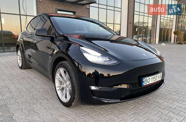 Внедорожник / Кроссовер Tesla Model Y 2021 в Тернополе