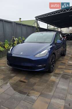 Позашляховик / Кросовер Tesla Model Y 2022 в Києві