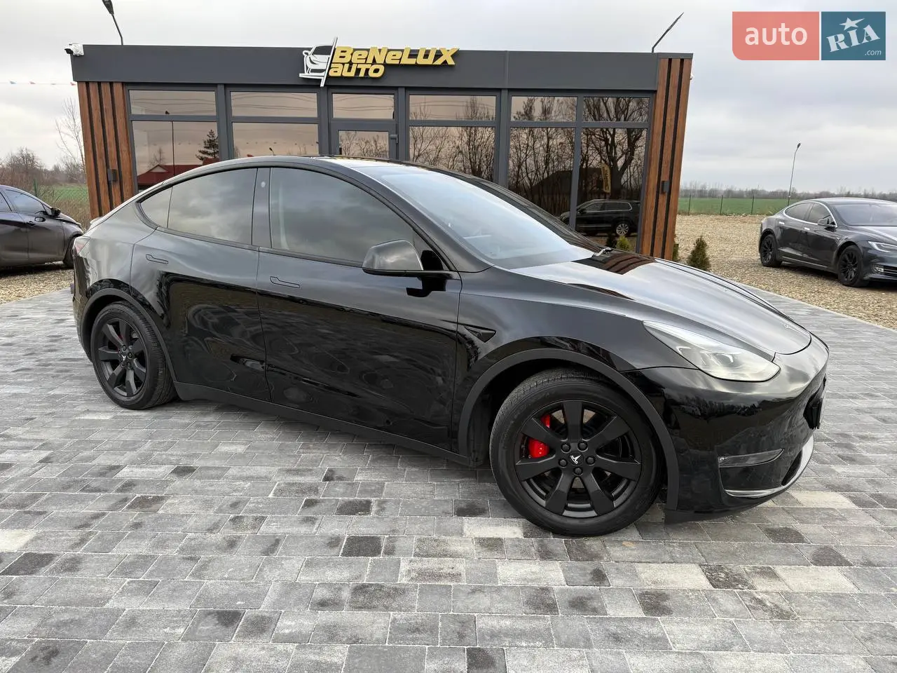 2014 Ford Focus - мініатюра 31
