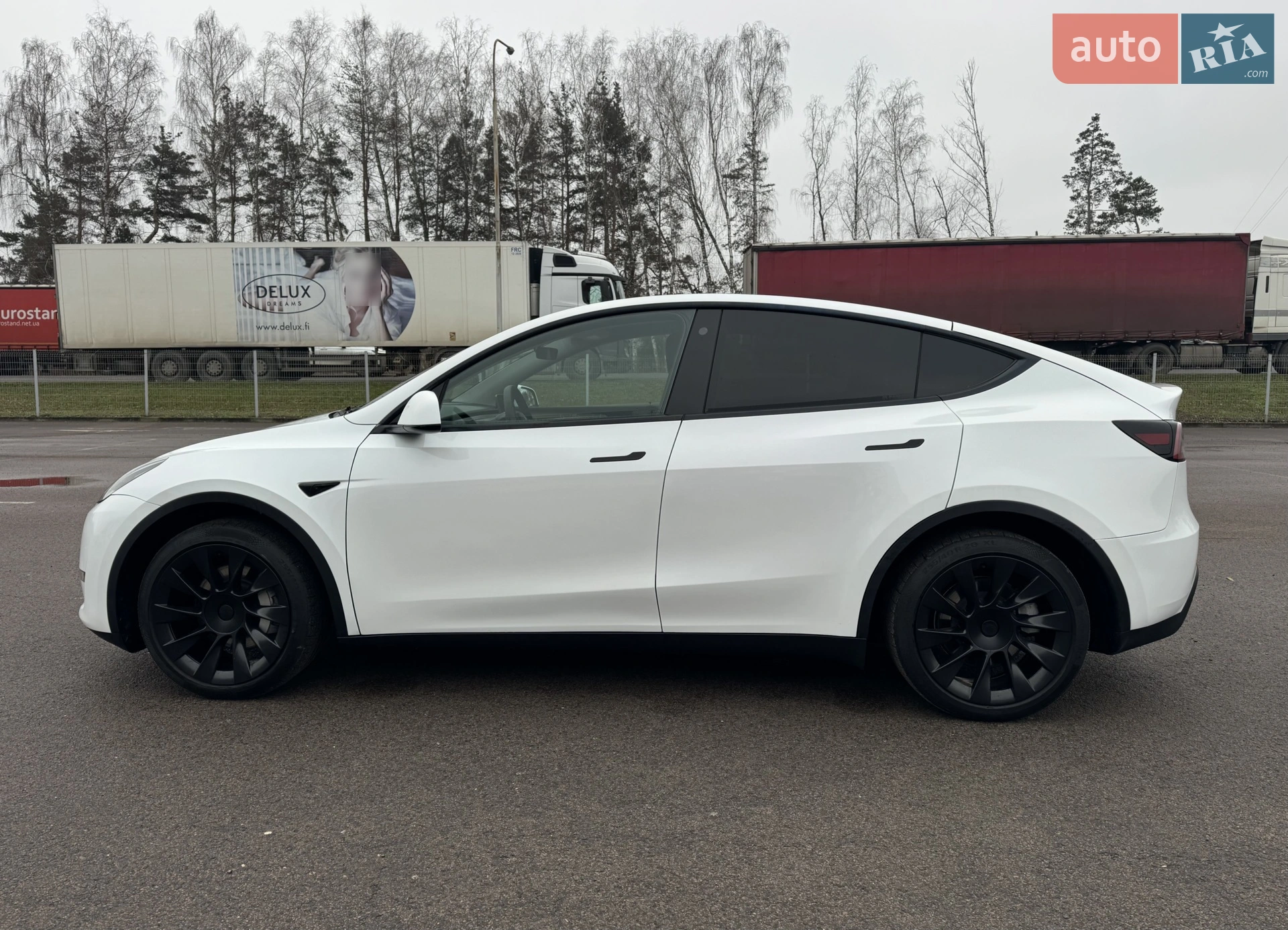 2023 Tesla Model Y - мініатюра 9