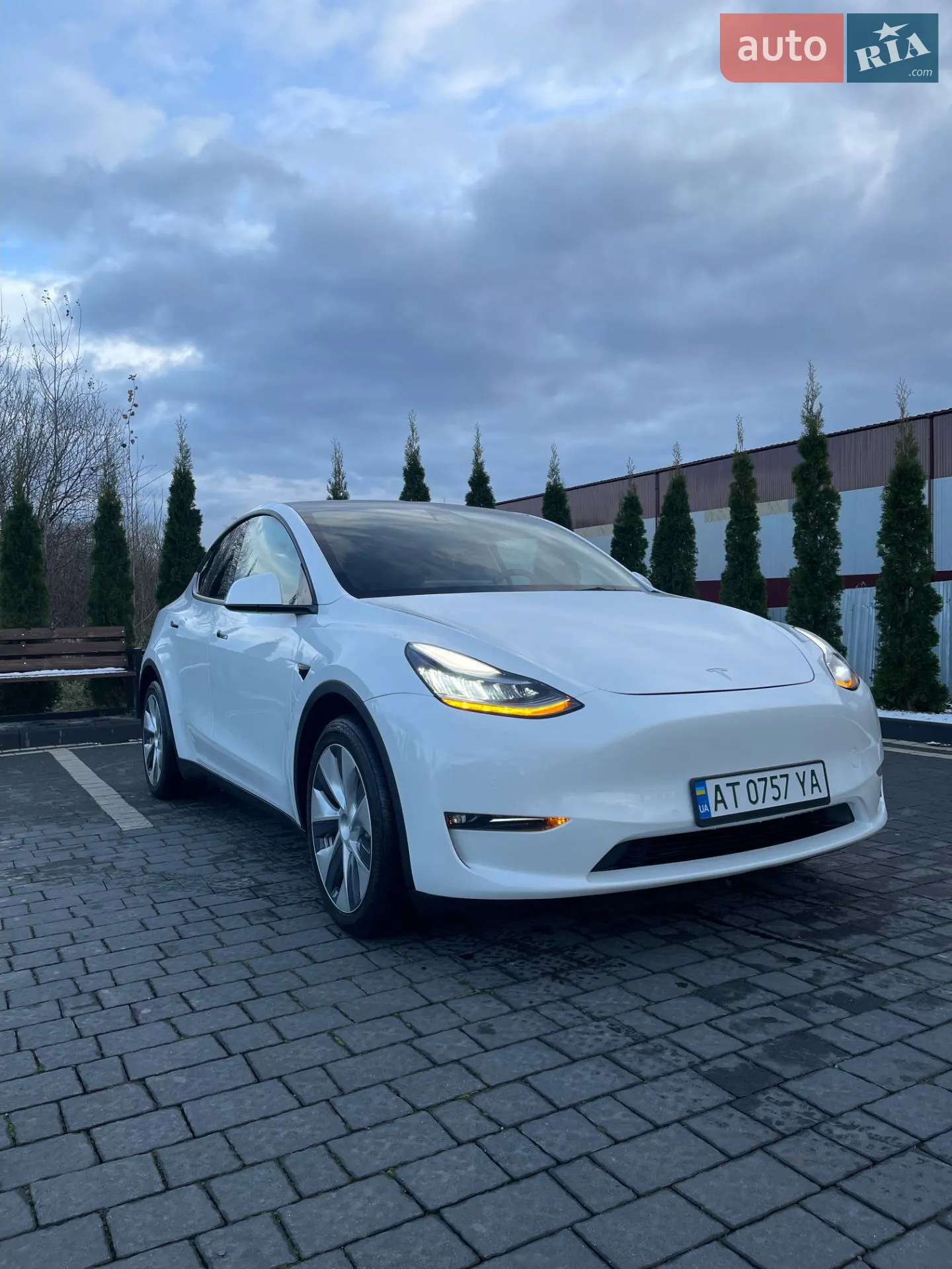 2021 Tesla Model Y - фото 1