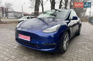 Внедорожник / Кроссовер Tesla Model Y 2021 в Черновцах
