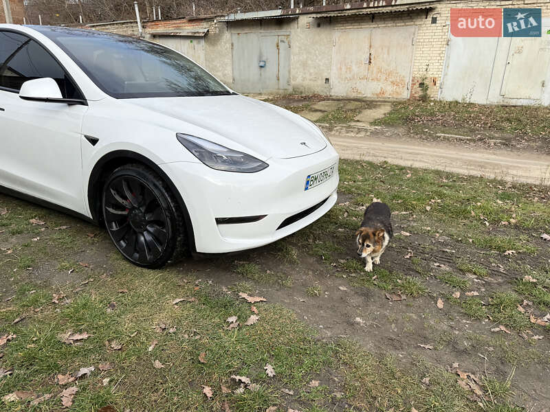 Внедорожник / Кроссовер Tesla Model Y 2022 в Сумах