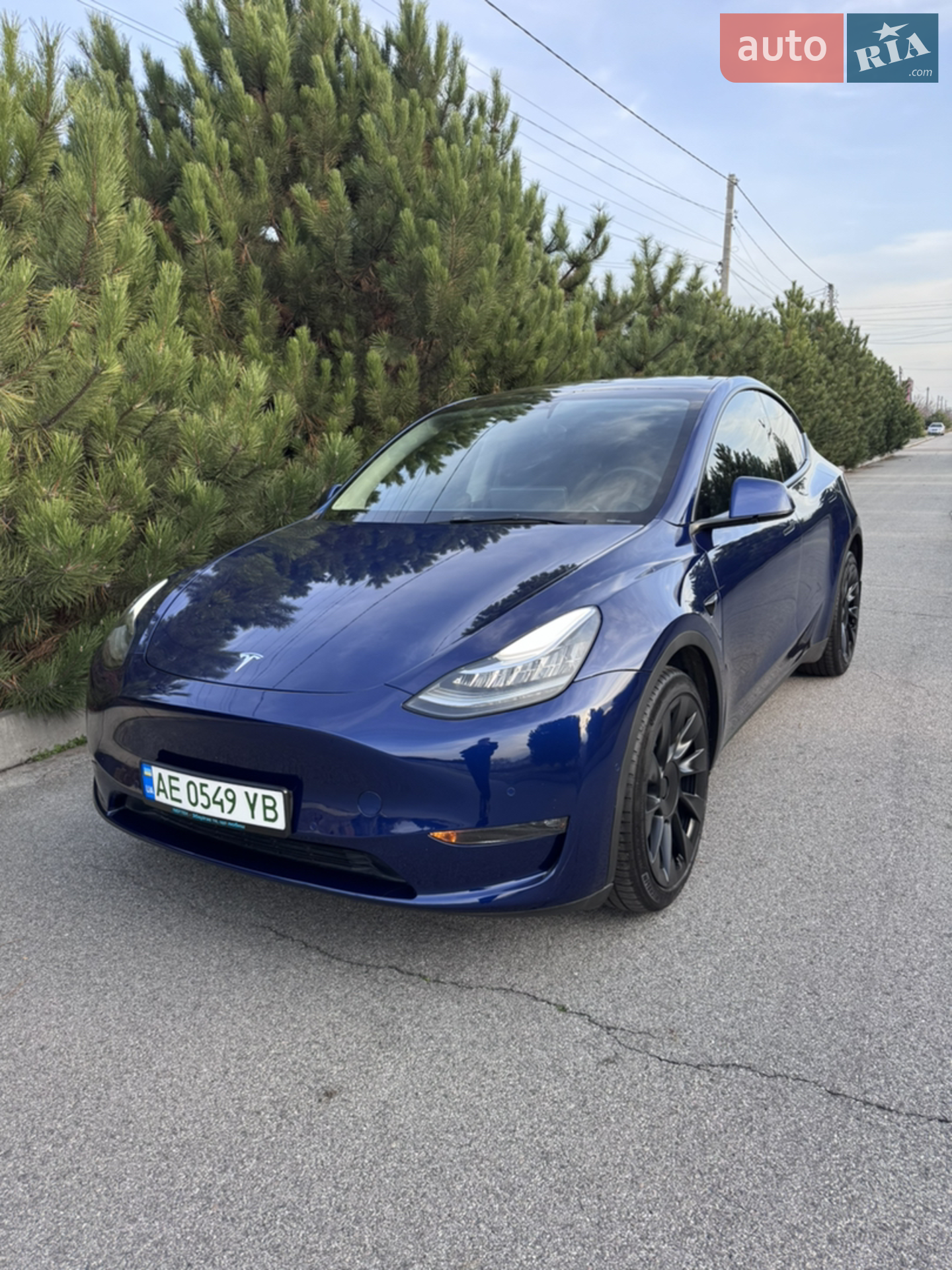 2022 Tesla Model Y - фото 1