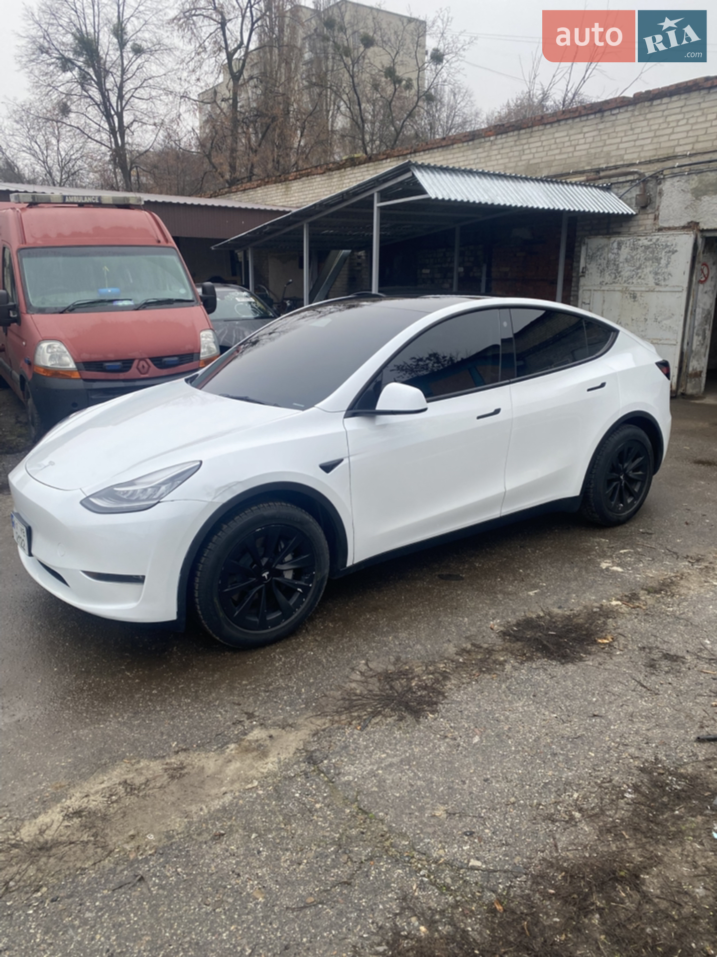 2023 Tesla Model Y - мініатюра 11