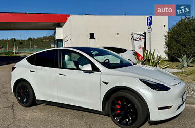 Внедорожник / Кроссовер Tesla Model Y 2023 в Днепре
