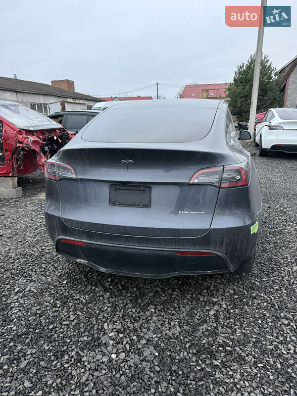 Внедорожник / Кроссовер Tesla Model Y 2022 в Луцке