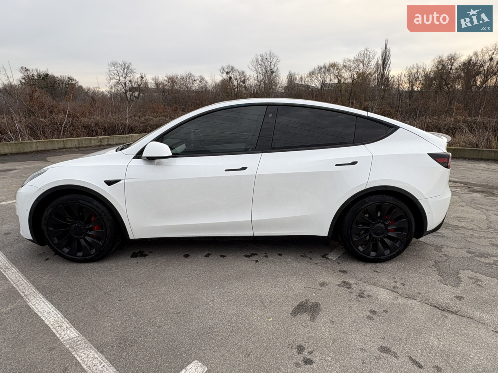 2022 Tesla Model Y - мініатюра 4
