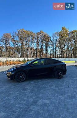 Внедорожник / Кроссовер Tesla Model Y 2020 в Луцке
