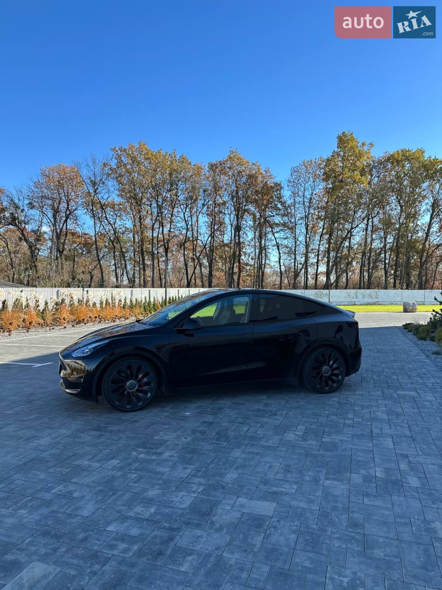 2020 Tesla Model Y - мініатюра 2