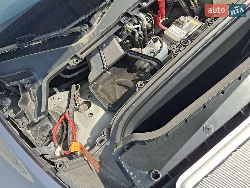 Внедорожник / Кроссовер Tesla Model Y 2024 в Луцке фото 12 Внедорожник / Кроссовер Tesla Model Y 2024 в Луцке