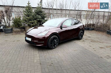 Внедорожник / Кроссовер Tesla Model Y 2023 в Днепре
