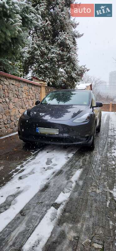 Внедорожник / Кроссовер Tesla Model Y 2024 в Киеве