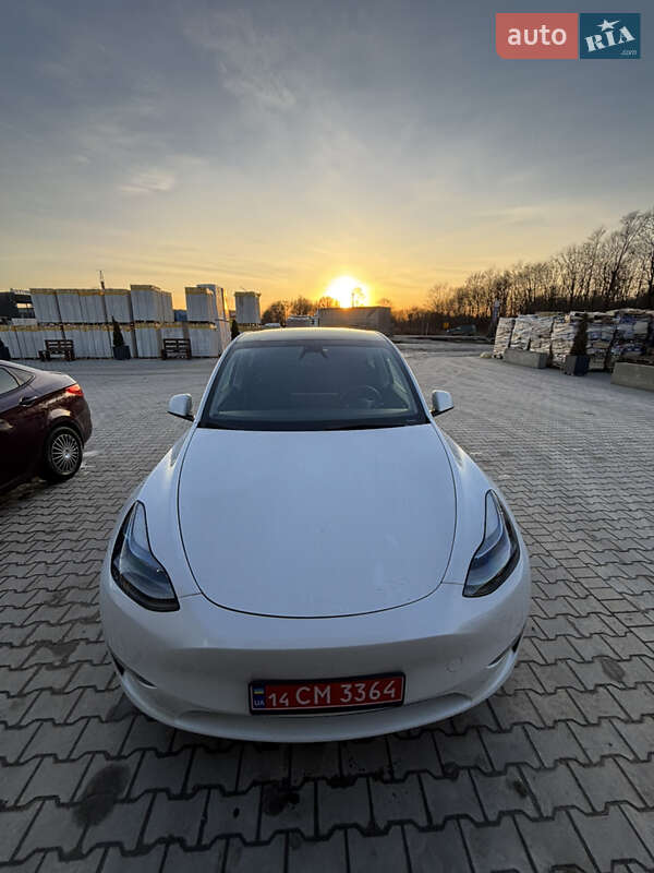 Внедорожник / Кроссовер Tesla Model Y 2023 в Тернополе