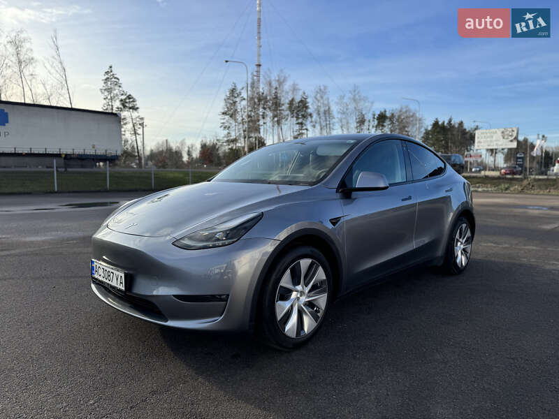 Позашляховик / Кросовер Tesla Model Y 2024 в Ковелі