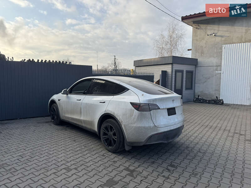 Внедорожник / Кроссовер Tesla Model Y 2023 в Луцке