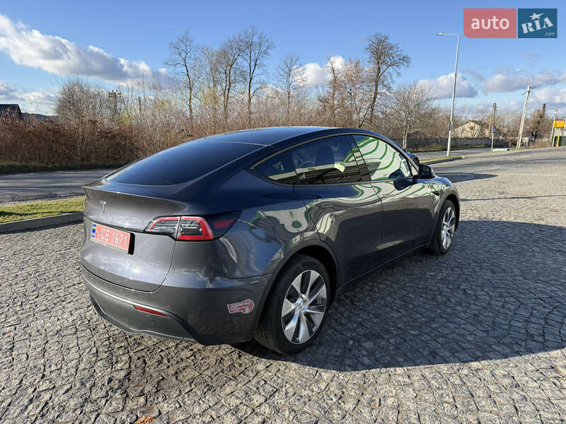 Внедорожник / Кроссовер Tesla Model Y 2021 в Золочеве