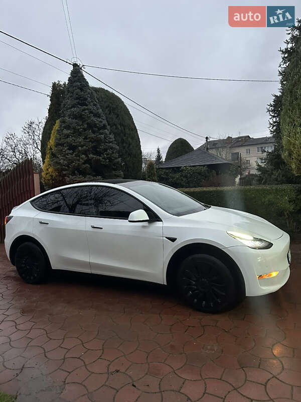 Внедорожник / Кроссовер Tesla Model Y 2020 в Луцке