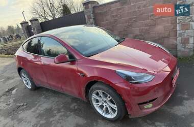 Внедорожник / Кроссовер Tesla Model Y 2023 в Луцке