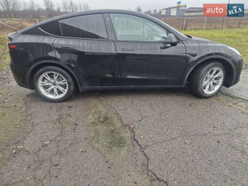 Внедорожник / Кроссовер Tesla Model Y 2021 в Луцке