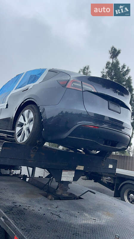 Позашляховик / Кросовер Tesla Model Y 2024 в Броварах