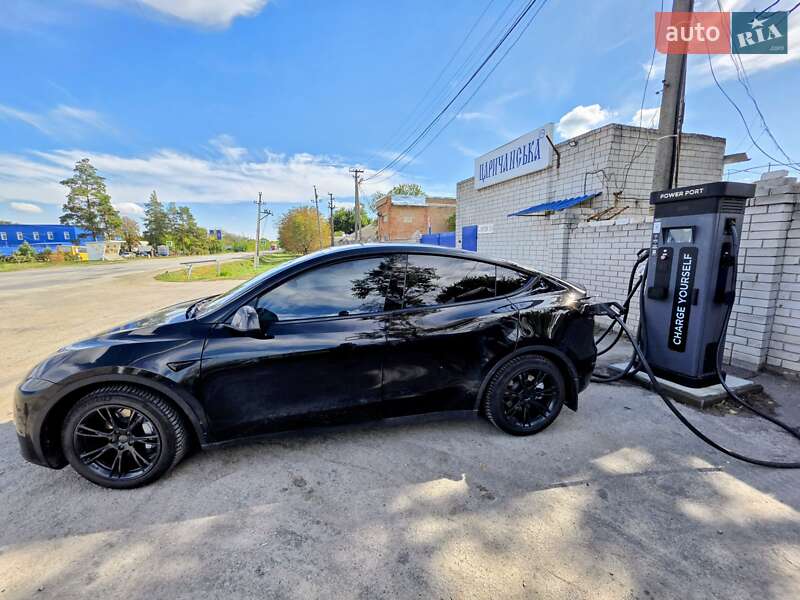Позашляховик / Кросовер Tesla Model Y 2021 в Києві