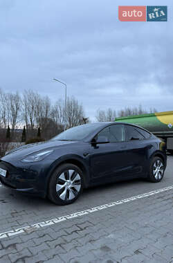 Внедорожник / Кроссовер Tesla Model Y 2024 в Хмельницком