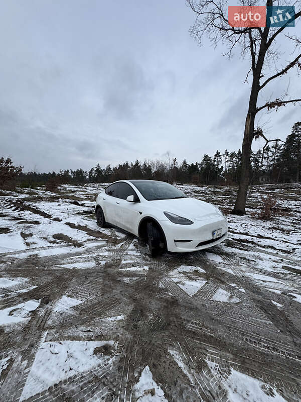 Внедорожник / Кроссовер Tesla Model Y 2021 в Черкассах