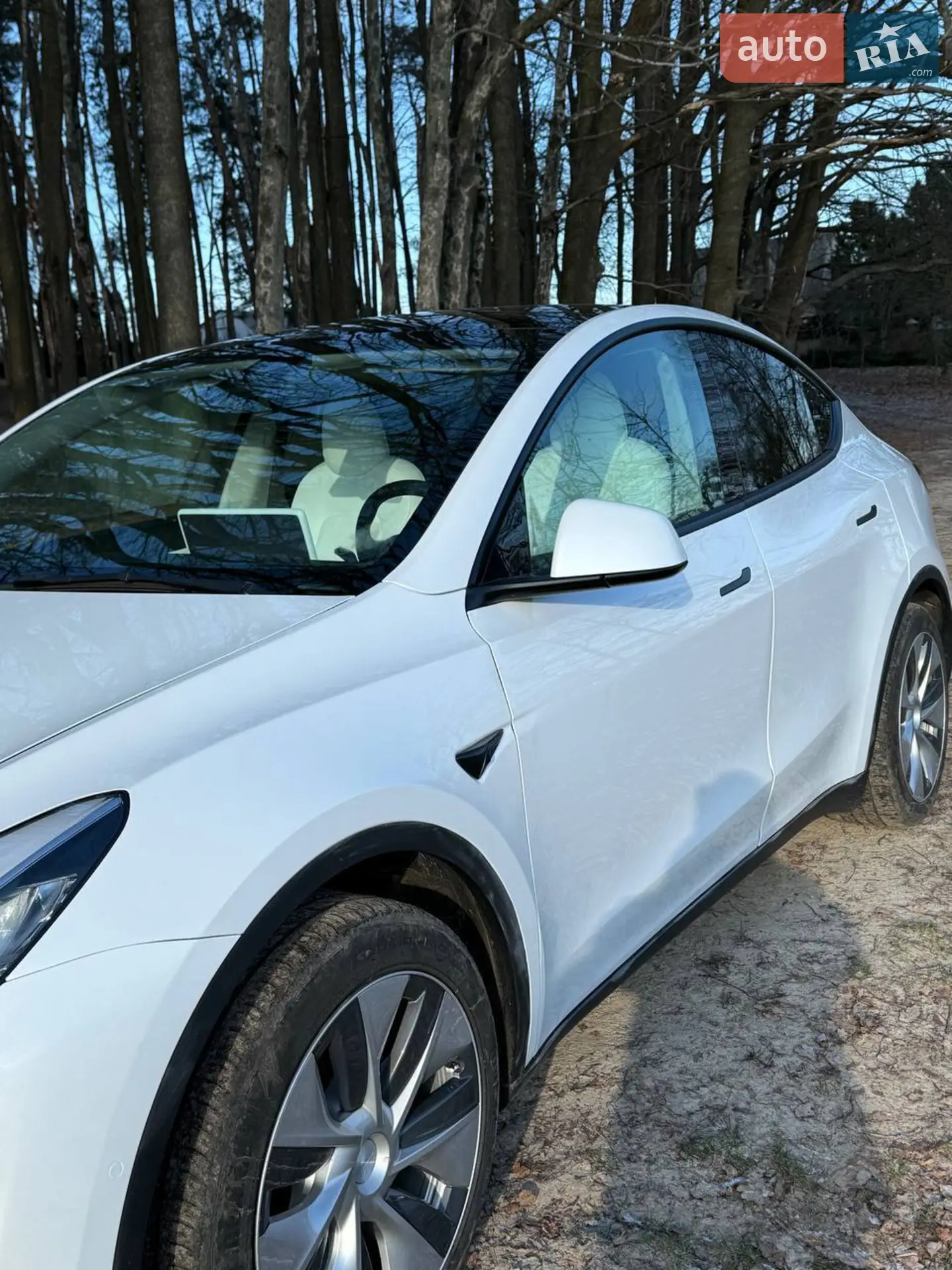 2021 Tesla Model Y - мініатюра 2