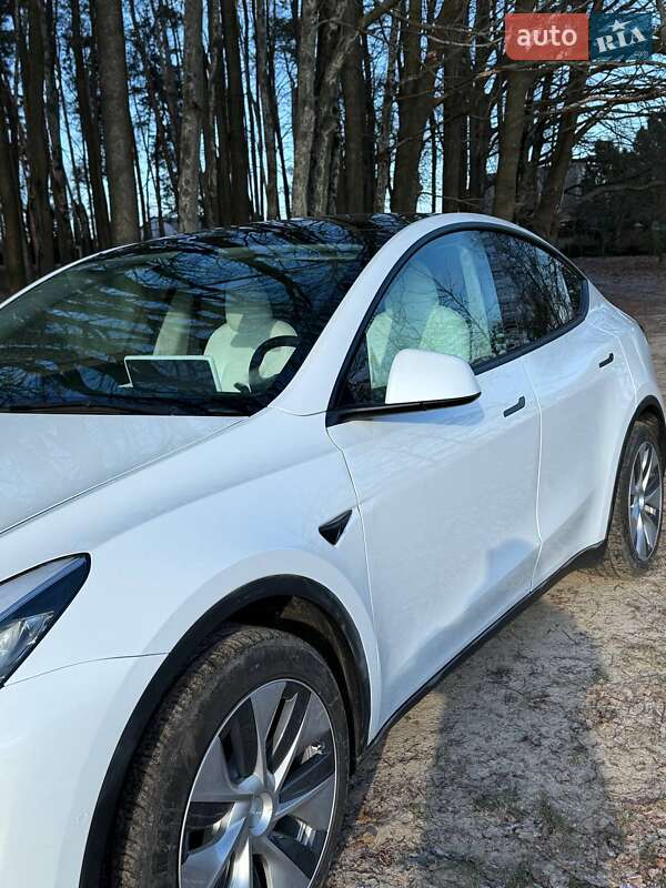 Внедорожник / Кроссовер Tesla Model Y 2021 в Люботине
