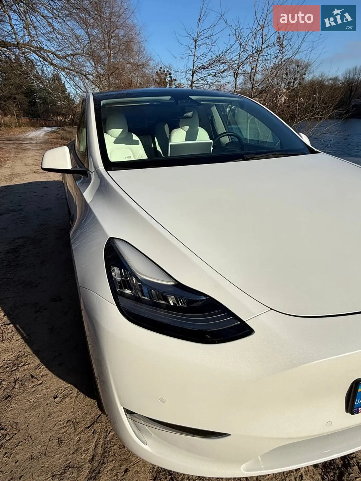 2021 Tesla Model Y - мініатюра 22