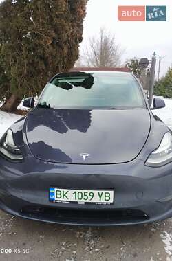 Позашляховик / Кросовер Tesla Model Y 2021 в Острозі