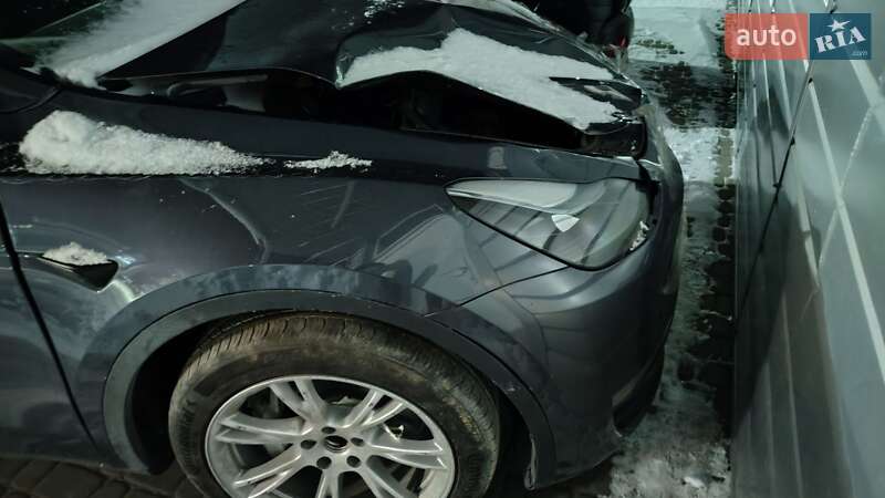 Позашляховик / Кросовер Tesla Model Y 2023 в Білій Церкві