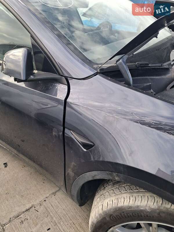 Позашляховик / Кросовер Tesla Model Y 2023 в Білій Церкві