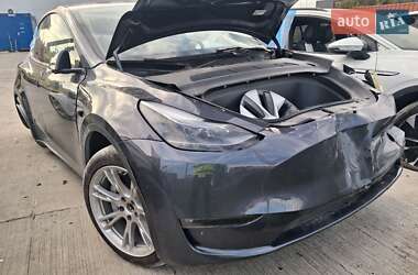 Позашляховик / Кросовер Tesla Model Y 2023 в Білій Церкві