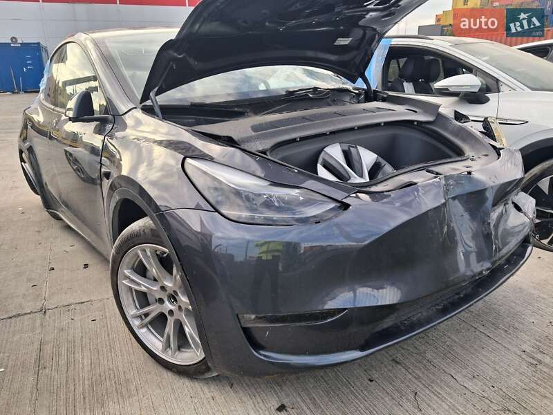Позашляховик / Кросовер Tesla Model Y 2023 в Білій Церкві