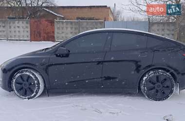 Внедорожник / Кроссовер Tesla Model Y 2024 в Фастове