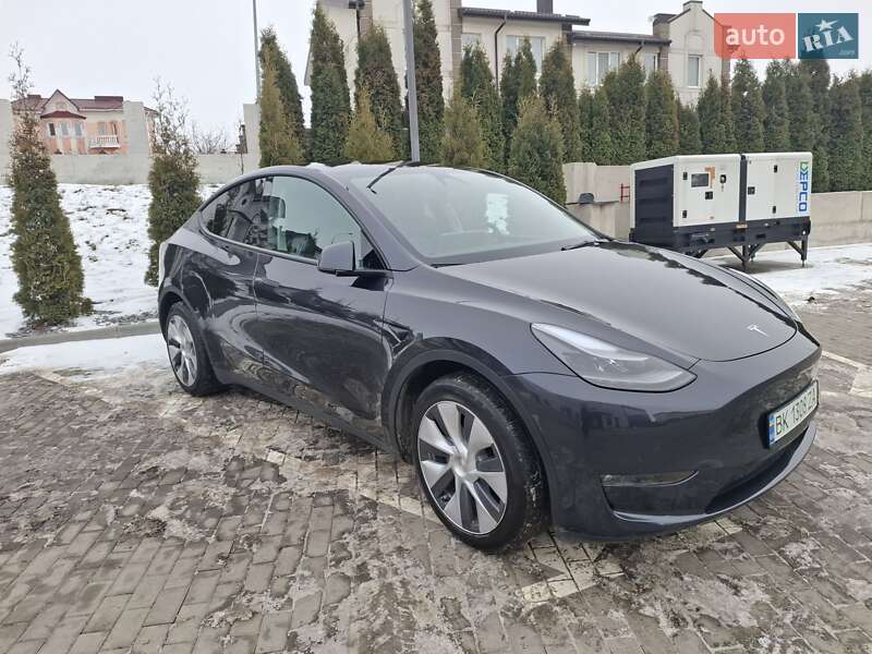 Позашляховик / Кросовер Tesla Model Y 2024 в Рівному
