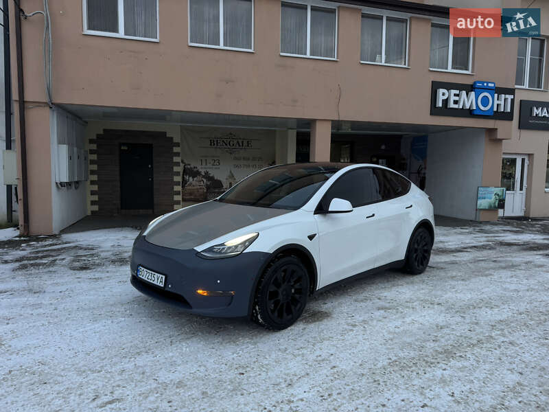 2020 Tesla Model Y, VIN 5YJYGDEE3LF042954:plate — фото 1 (autoria)