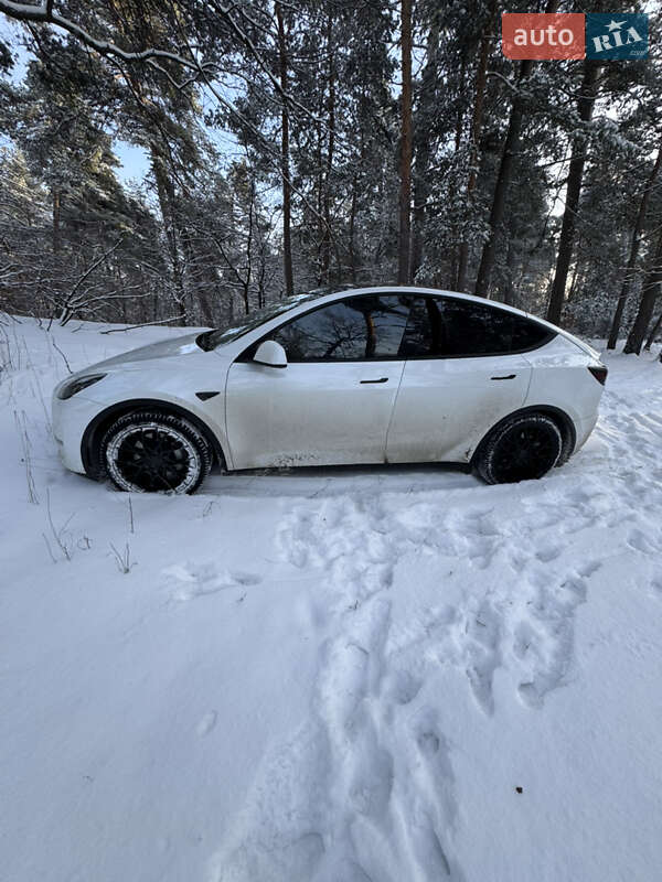 Внедорожник / Кроссовер Tesla Model Y 2021 в Черкассах