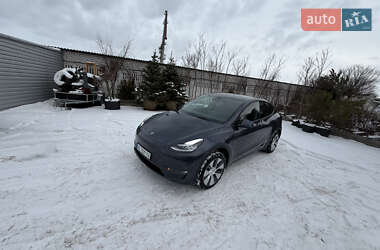 Внедорожник / Кроссовер Tesla Model Y 2023 в Днепре