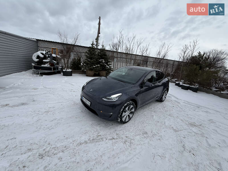 Позашляховик / Кросовер Tesla Model Y 2023 в Дніпрі
