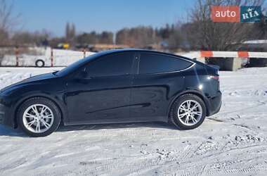 Внедорожник / Кроссовер Tesla Model Y 2021 в Сумах