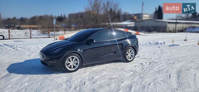 Позашляховик / Кросовер Tesla Model Y 2021 в Сумах