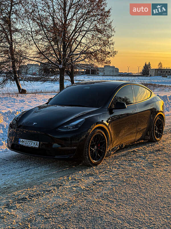 Позашляховик / Кросовер Tesla Model Y 2023 в Києві