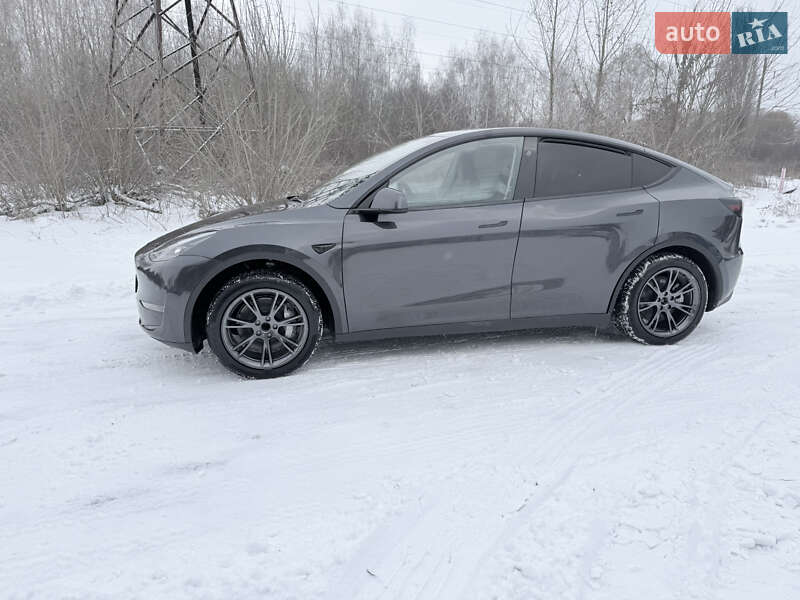 Внедорожник / Кроссовер Tesla Model Y 2025 в Калиновке