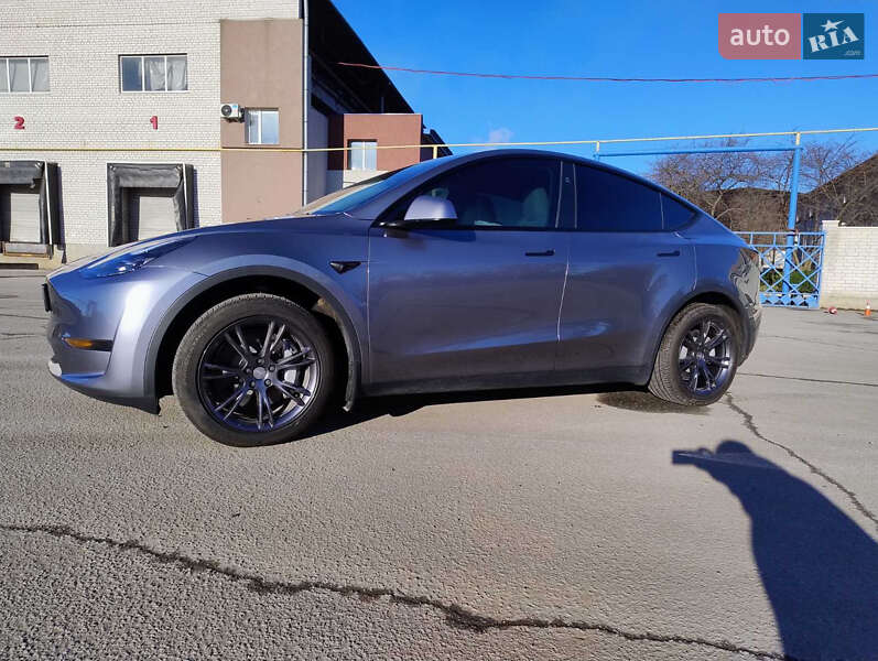 Внедорожник / Кроссовер Tesla Model Y 2024 в Житомире